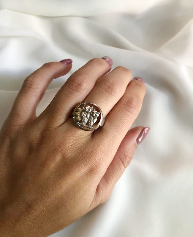 ANILLO PLATA Y ORO (POA323)
