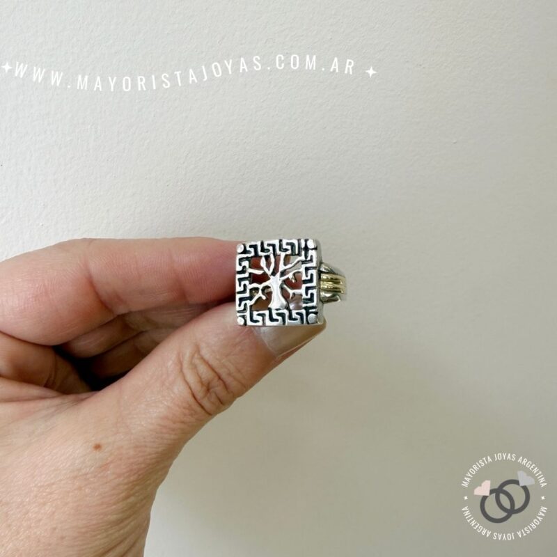 ANILLO PLATA Y ORO (POA0579)